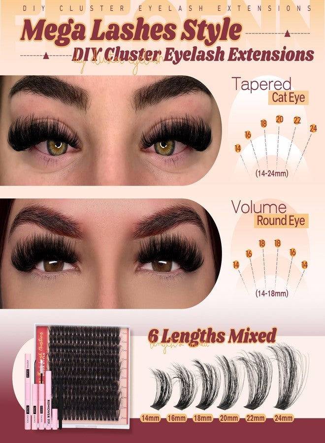 Eefofnn Fluffy Lash Clusters Kit Dramatic 270D Cluster Eyelash Extensions Kit 14-24mm Long Eyelash Clusters Kit Thick Volume Individual Lashes Bond and Seal Remover Tweezers Mega Lash Extension Kit by Eefofnn - Image 2